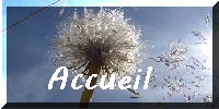fleur